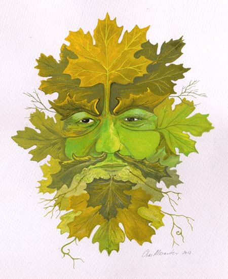 Greenman Autumnal Scycamore