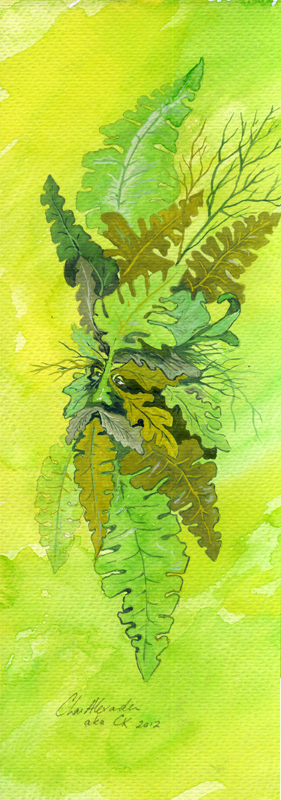 Greenman Bracken