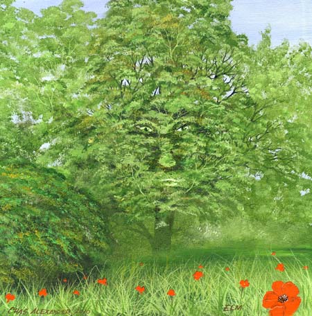 Greenman Elm